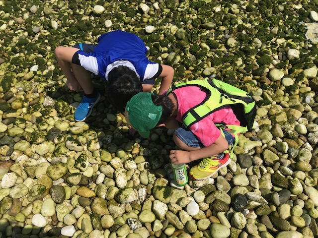 写真の説明を入れます