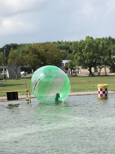 びわ湖こどもの国